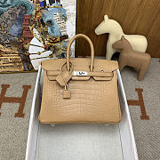 	 Colestore Hermes Birkin 25 Matte Alligator Mississippiensis Poussiere Palladium Hardware - 1