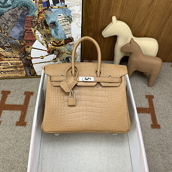 	 Colestore Hermes Birkin 25 Matte Alligator Mississippiensis Poussiere Palladium Hardware