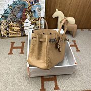 	 Colestore Hermes Birkin 25 Matte Alligator Mississippiensis Poussiere Palladium Hardware - 6