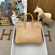 	 Colestore Hermes Birkin 25 Matte Alligator Mississippiensis Poussiere Palladium Hardware - 5