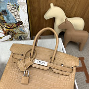 	 Colestore Hermes Birkin 25 Matte Alligator Mississippiensis Poussiere Palladium Hardware - 4