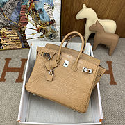 	 Colestore Hermes Birkin 25 Matte Alligator Mississippiensis Poussiere Palladium Hardware - 3