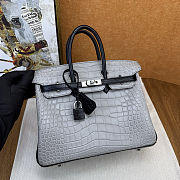 	 Colestore Hermes Birkin 25 Matte Alligator Mississippiensis Gris Perle / Noir Palladium Hardware - 1