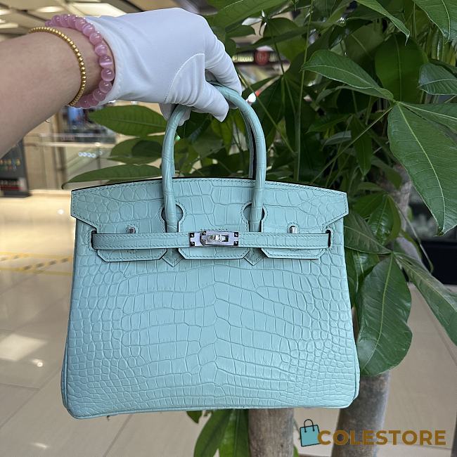 	 Colestore Hermes Birkin 25 Matte Alligator Mississippiensis Blue Atoll Palladium Hardware - 1