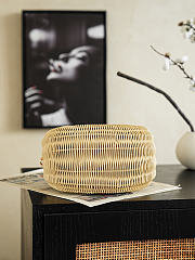 Colestore Chanel Cruise 2026/27 Woven Basket Bag 25.5 x 23 x 14.5 cm - 6