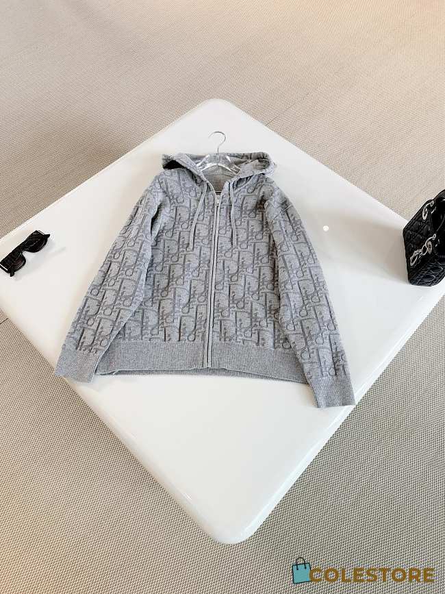 Colestore Dior Hooded Zipped Cardigan Gray Dior Oblique Wool-Blend Jacquard - 1