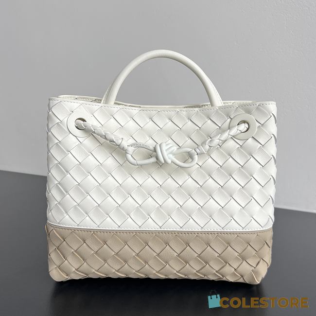 Colestore   Bottega Veneta Small Andiamo in Alabaster/ecru 25x20x10cm - 1
