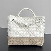 Colestore   Bottega Veneta Small Andiamo in Alabaster/ecru 25x20x10cm - 1