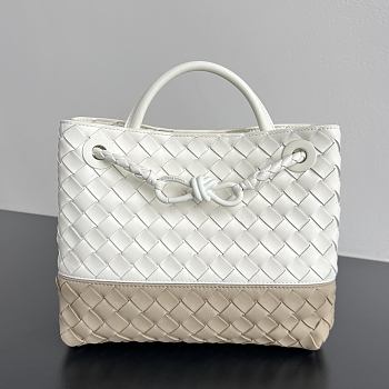 Colestore   Bottega Veneta Small Andiamo in Alabaster/ecru 25x20x10cm