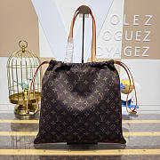 Colestore Louis Vuitton Silk Tech Dust Bag Tote 34 x 34 x 18 cm - 6