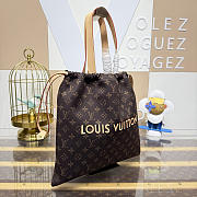 Colestore Louis Vuitton Silk Tech Dust Bag Tote 34 x 34 x 18 cm - 3