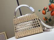 Colestore Louis Vuitton Capucines BB Wicker Basket Bag 27 x 17 × 9 cm - 5