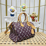 Colestore Louis Vuitton Speedy P9 Bandoulière 30 Reversible Monogram Fig 32 x 18 x 22.5 cm - 5