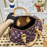 Colestore Louis Vuitton Speedy P9 Bandoulière 30 Reversible Monogram Fig 32 x 18 x 22.5 cm - 4