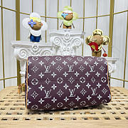 Colestore Louis Vuitton Speedy P9 Bandoulière 30 Reversible Monogram Fig 32 x 18 x 22.5 cm - 3