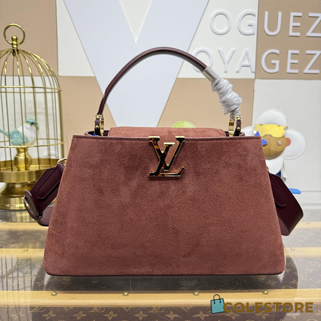 Colestore Louis Vuitton Capucines MM Souple Bag Espresso Suede leather 33 x 24 x 12 cm - 1