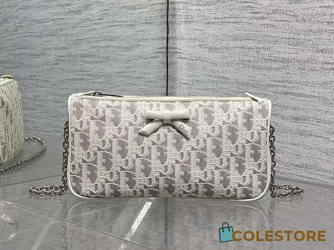 Colestore Dior Promenade Pouch with Chain Latte and Gray Dior Oblique Jacquard 22 x 11.5 x 4.5cm - 1