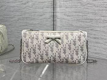 Colestore Dior Promenade Pouch with Chain Latte and Gray Dior Oblique Jacquard 22 x 11.5 x 4.5cm