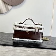 Colestore Chanel  Fall Winter 2026 Pre-Collection  Vanity with Chain  Aged Calfskin, Ecru Shearling & Gold-Tone Metal  Dark Brown 12 x 25 x 5cm - 1