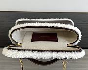 Colestore Chanel  Fall Winter 2026 Pre-Collection  Vanity with Chain  Aged Calfskin, Ecru Shearling & Gold-Tone Metal  Dark Brown 12 x 25 x 5cm - 5