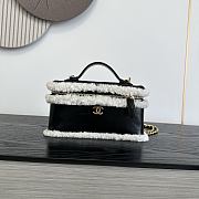 Colestore Chanel  Fall Winter 2026 Pre-Collection  Vanity with Chain  Aged Calfskin, Ecru Shearling & Gold-Tone Metal Black 12 x 25 x 5cm - 1