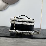 Colestore Chanel  Fall Winter 2026 Pre-Collection  Vanity with Chain  Aged Calfskin, Ecru Shearling & Gold-Tone Metal Black 12 x 25 x 5cm - 6