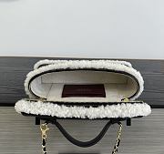 Colestore Chanel  Fall Winter 2026 Pre-Collection  Vanity with Chain  Aged Calfskin, Ecru Shearling & Gold-Tone Metal Black 12 x 25 x 5cm - 3