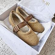 Coletsore Dior DiorAlps Dior Frost Ballet Flat Camel Cannage Suede - 4