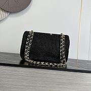 Colestore Chanel  Cruise 2026/27 Small Flap Bag Braided Raffia, Embroidered Motifs & Gold-Tone Metal Black 16 x 25.5 x 7cm - 3