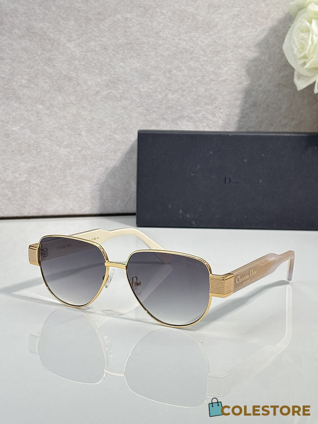 Colestore Dior Signature DSGTA55UCR Sunglasses - 1