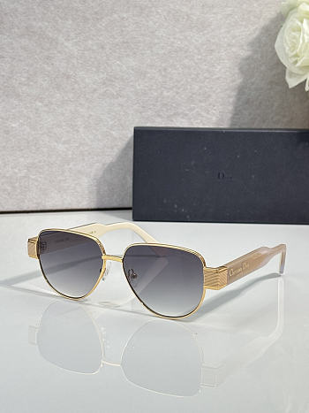 Colestore Dior Signature DSGTA55UCR Sunglasses