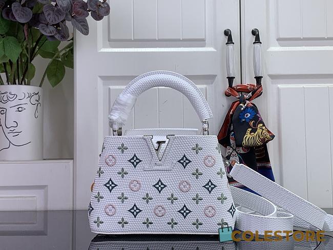 Colestore Louis Vuitton Capucines Mini Icone Bag Monogram Colors 21 x 13.6 x 8 cm - 1