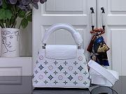 Colestore Louis Vuitton Capucines Mini Icone Bag Monogram Colors 21 x 13.6 x 8 cm - 2
