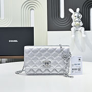 Colestore Chanel Wallet on Chain   Metallic Grained Calfskin & Silver-Tone Metal  Silvery  12 x 19.5 x 3.5cm - 1