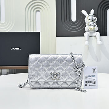 Colestore Chanel Wallet on Chain   Metallic Grained Calfskin & Silver-Tone Metal  Silvery  12 x 19.5 x 3.5cm