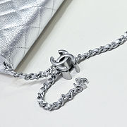 Colestore Chanel Wallet on Chain   Metallic Grained Calfskin & Silver-Tone Metal  Silvery  12 x 19.5 x 3.5cm - 6