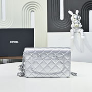 Colestore Chanel Wallet on Chain   Metallic Grained Calfskin & Silver-Tone Metal  Silvery  12 x 19.5 x 3.5cm - 5