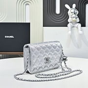 Colestore Chanel Wallet on Chain   Metallic Grained Calfskin & Silver-Tone Metal  Silvery  12 x 19.5 x 3.5cm - 4