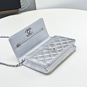 Colestore Chanel Wallet on Chain   Metallic Grained Calfskin & Silver-Tone Metal  Silvery  12 x 19.5 x 3.5cm - 3