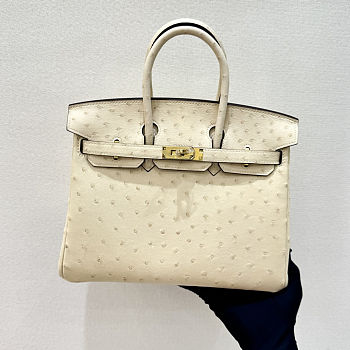 Colestore Hermes Nata Ostrich Birkin 25 Gold Hardware