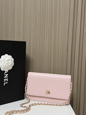 Colestore Chanel Wallet on Chain Grained Goatskin, Enamel & Gold-Tone Metal  Light Pink 19 x 3 x 10cm