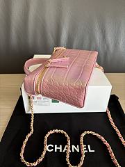Colestore Chanel Fall Winter 2026 Vanity with Chain   Crocodile Embossed Iridescent Calfskin & Gold-Tone Metal Pink  17 x 19.5 x 5cm - 3